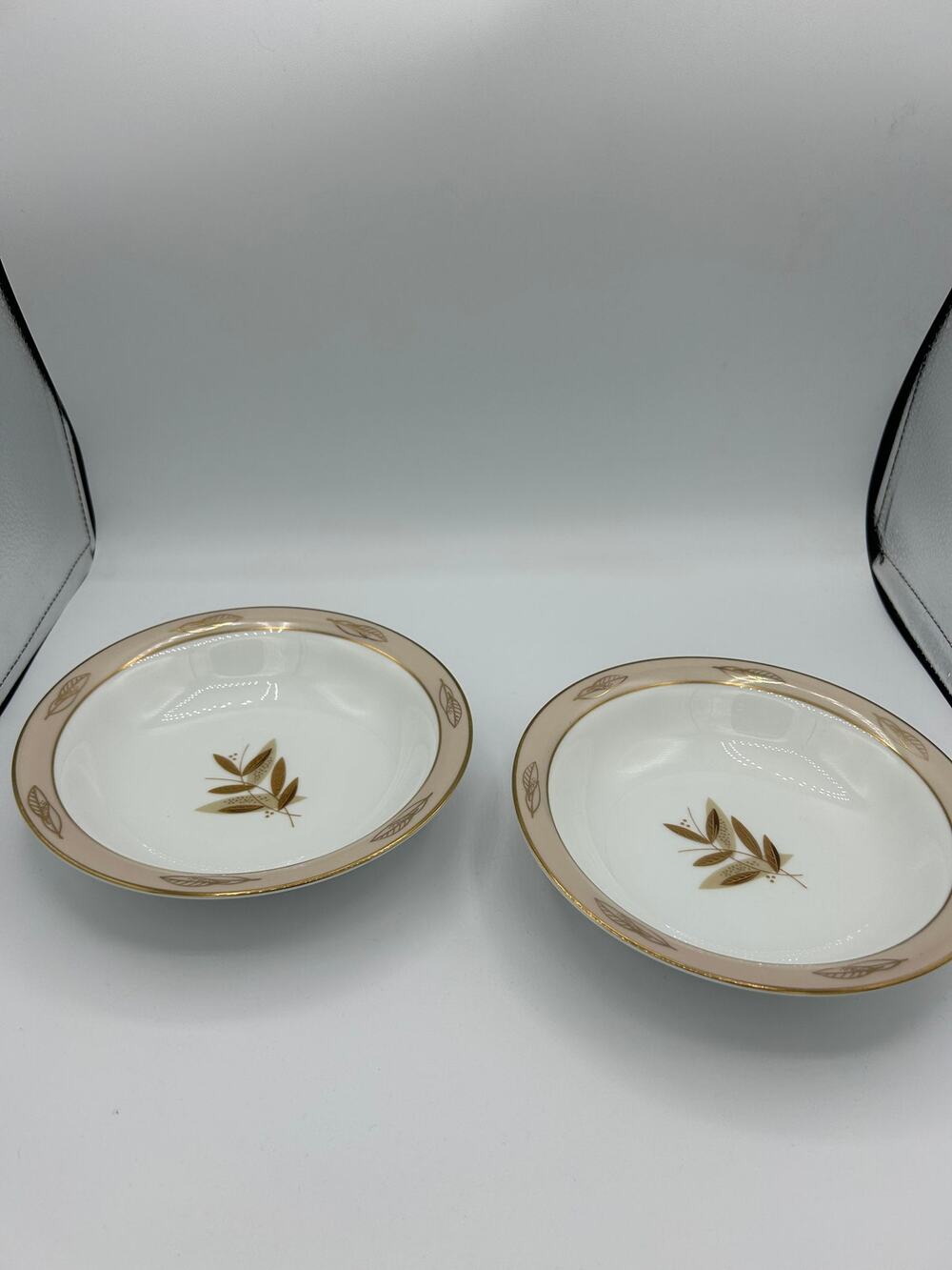 Set of 2 vintage noritake China pattern 5580 soup bowls
